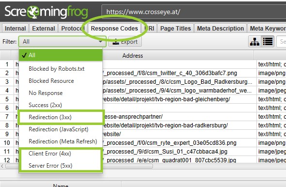 Screaming Frog Response Codes