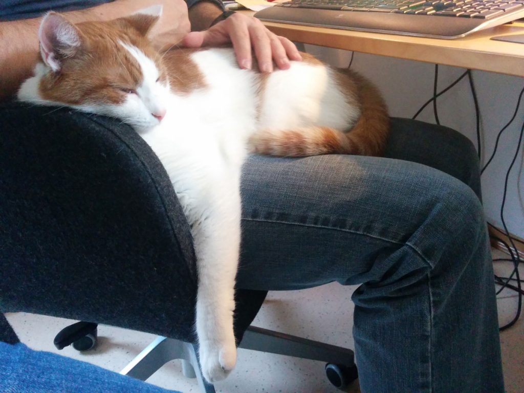 Charly auf dem Schoß von Paul.