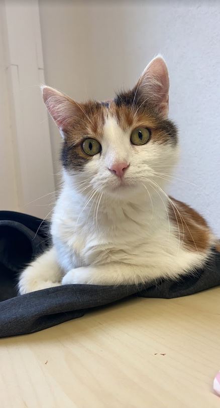 Susi schaut neugierig in die Kamera.