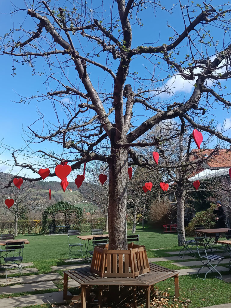 Garten im Seminarhotel Ederer